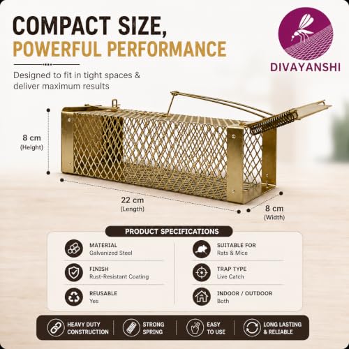 Image of Divayanshi Heavy-Duty Rat Trap - Reusable Humane Rodent Catcher for Mice & Rats, Strong Spring Mechanism, Easy to Set & Clean, Indoor & Outdoor Use- Small (7.5 inch)