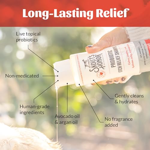 Image of SKOUT'S HONOR Probiotic Itch Relief Shampoo for Dogs, 16 oz | Non-Medicated Microbiome-Friendly Formula with Avocado Oil and Omega-3s, Paraben & Sulfate-Free, Unscented