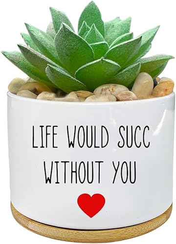 Funny Life Would SUCC Without You - Macetas de cerámica blanca grabada, mini maceta para cactus suculentas, maceta para el alféizar de la ventana de
