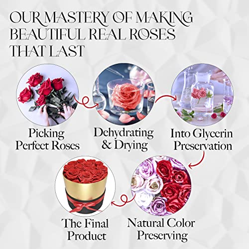 Glamour Boutique ROUND7 7-Piece Forever Flowers In A Box - Preserved Roses, Immortal Roses That Last A Year - Eternal Rose Preserved Flowers For Delivery Prime Mothers Day & Valentines Gift thumb #8
