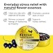 Bach RESCUE PASTILLES, Black Currant Flavor, Natural Stress Relief Lozenges, Homeopathic Flower Essence, Vegetarian, Gluten And Sugar-Free, 35 Count