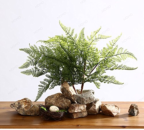Real Touch Artificial Plants - Leafroll Ferns (Large) 3 Stems
