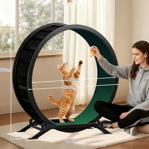GTPLAYER Cat Wheels, Large Cat Exercise Wheel for Indoor Cats, 40"Diameter cat treadmill Detachable Carpet & Teaser, stickers, Ultra-quiet scroll wheel With latch, Suitable for Most Cats, Metal, Green by GTPLAYER - Image 7