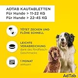 AdTab Kombi-Set: Zecken- & Flohschutz für 2 Hunde in verschiedenen Größen (11-22 kg & 22-45 kg), 2 Packungen mit je 3 Kautabletten, einfach zu verabreichen & schmackhaft