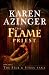 The Flame Priest (The Silk & Steel Saga Book 2)