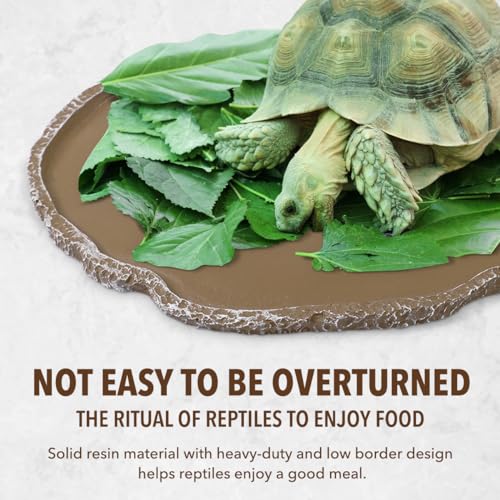 UEETEK Haustiere Fütterung Platte Reptil Fütterung Schüssel Vivarium Lebensmittel Wasser Dish Harz Schüssel für Schildkröte Gecko Schlange Haustier Zucht Tray