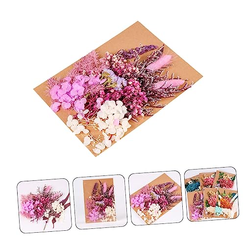 Kit de Flores Secas para Manualidades Zerodeko miniatura 7