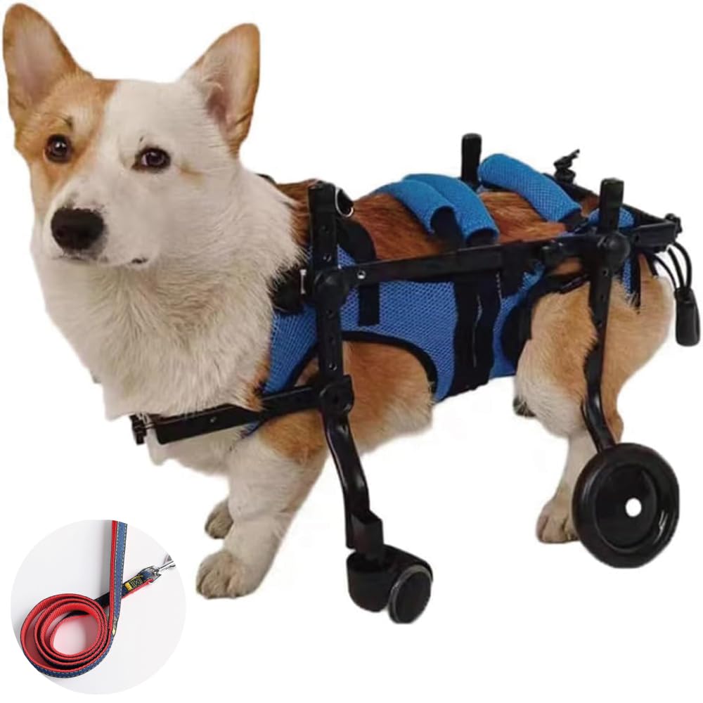 Amazon.co.jp: MIKEART 犬用車椅子 歩行器 車いす 4輪 歩行補助 ペット  