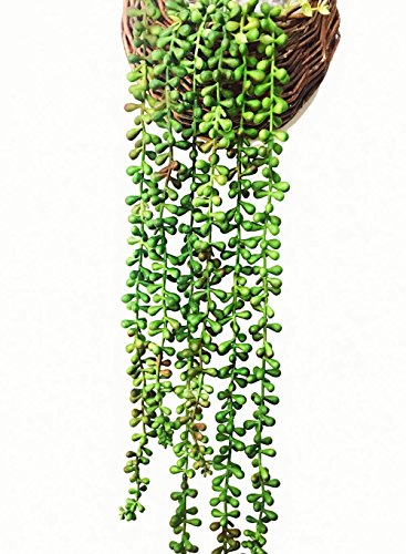 Ahvoler Artificial Succulent Plants String of Pearls 28