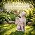 LEAESMHR Solar Angel Dog Statue with Lights, Dog Memorial Statue for Outdoor, Winged Dogs Angel Figurine for Garden, Yard, Lawn, Patio Desk Decor, Memorial Pet Loss Gift