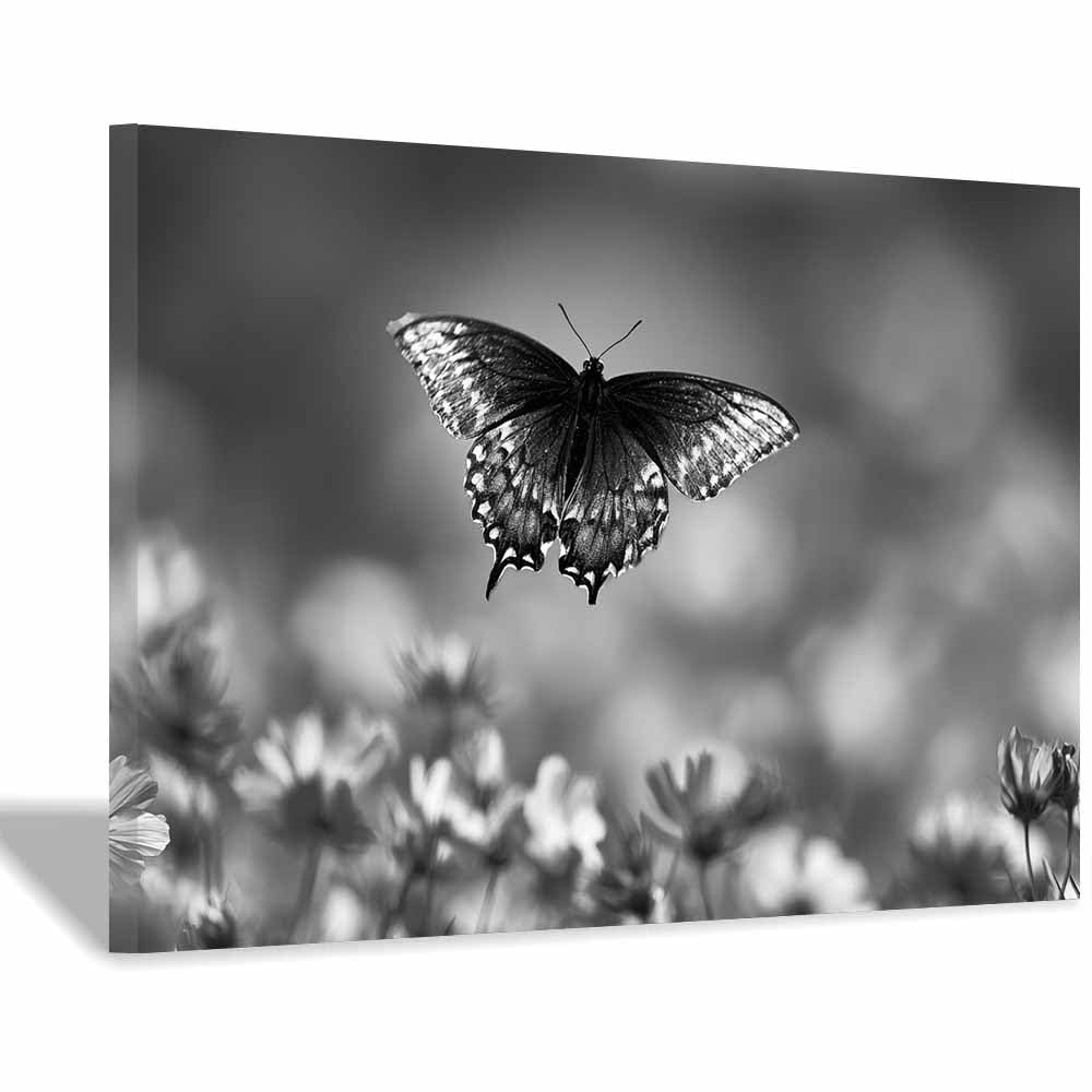 HOQIU Black And White Pictures Black Whites Butterflyss canvas wall art, painting and decor, for Living Room Bedroom Home Decoration(Multicolor)-30x40cm Framed