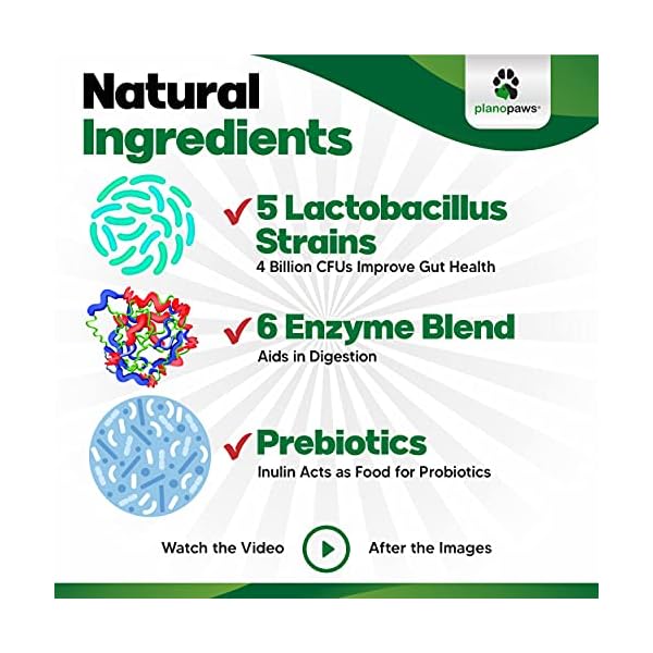 Probiotics for Dogs Digestive Health – Dog Probiotics and Digestive Enzymes – Allergy Relief for Dogs – Probiotic for Dogs Gut Health – Puppy Probiotic Tummy Treats – 120 Dog Probiotic Chews Probiotics for Dogs Digestive Health – Dog Probiotics and Digestive Enzymes – Allergy Relief for Dogs – Probiotic for Dogs Gut Health – Puppy Probiotic Tummy Treats – 120 Dog Probiotic Chews