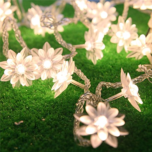 Egomall 10 m 100 LED Lotus de flores de guirnaldas Cadenas de luz de lámpara para el exterior e interior boda/Navidad Partido