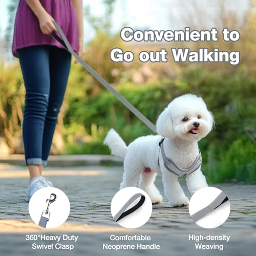 Feycig Hundegeschirr Kleine Hunde, Anti Zug Einstellbar Reflektierend Geschirr, Atmungsaktiv Weiches aus Mesh Geschirr Hund Leichtes Welpengeschirr Brustgeschirr mit Griff (Grau, X-Small)