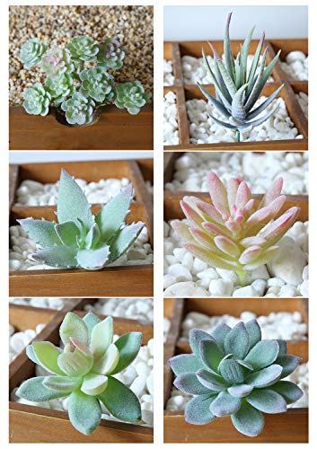 Sukkulenten Künstlich,6er Pack Mini Faux Sukkulenten Grün Unfotted Faux Blume Dekorativen Fälschung Sukkulentenmit für Zuhause Büro Outdoor Decoration Decor