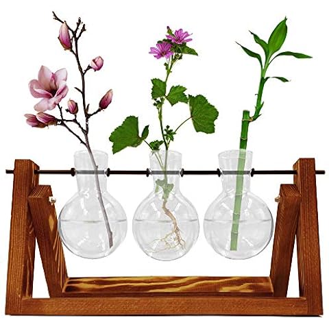 Green Thumbz Terrario de Cristal con Soporte de Madera y Columpio de Metal, 3 bulbos Cover