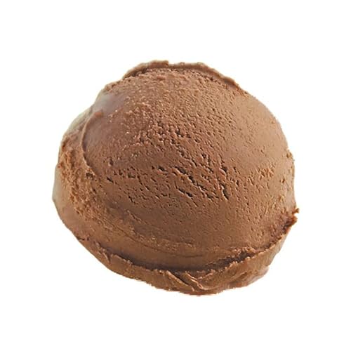 【タカナシミルク公式通販】 タカナシ 素材のショコラアイスクリーム 2リットル【出荷後3日間を超えるご不在で返品された場合の再発送・返金不可】 | タカナシ乳業 タカナシミルク アイスクリーム業務用 アイス シャーベト チョコレートアイス アイス ショコラ