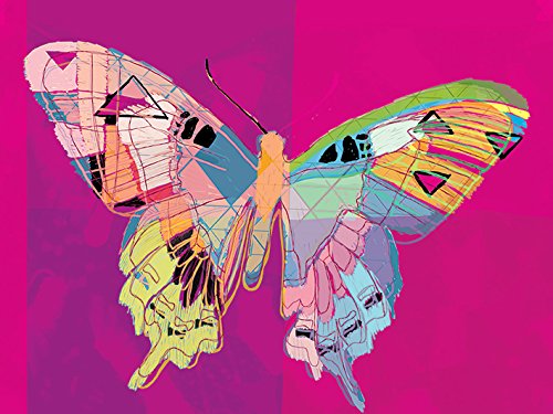 Toile Imprimée Turnowsky Neo Butterfly Solution Mur Vide Salon