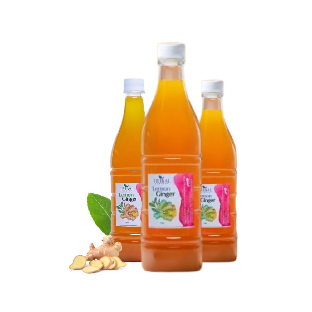 Tribal Ecoshop Natural Lemon Ginger Squash - Pack of 3 | Healthy & Immunity Booster | Citrus Zing and Soothing Spice | 100% Natural Ingridents | 750ml-image-21