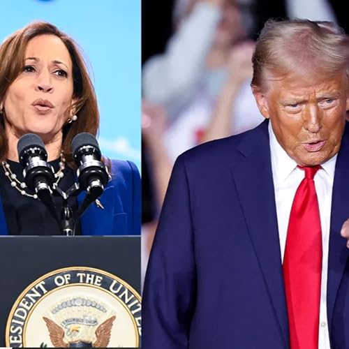 My Thoughts On The 2024 Election