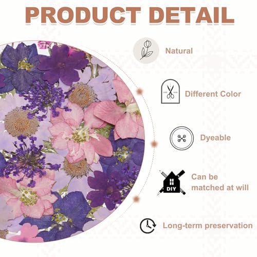 PATIKIL 35 Pcs Hojas de Flores Secas Prensadas Naturales miniatura 3