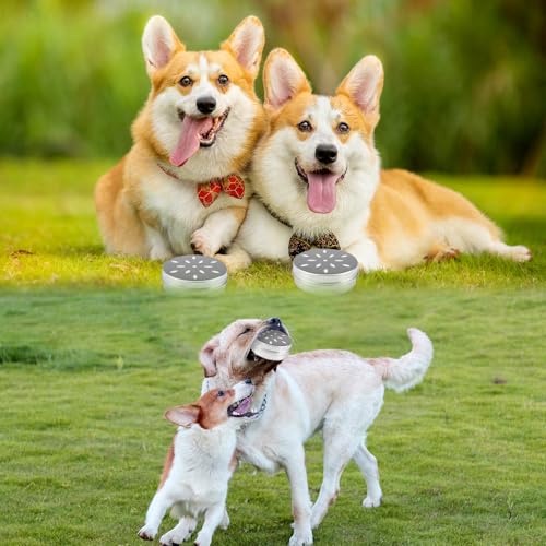 RUNEAY Hundetraining Zubehör Geruchstrainingskoffer für Hunde Runde Metalldosen mit Belüftungslöchern Aluminium Hundeduft Dosen Agility-Trainingsgeräte für Schnüffelhunde und Geruchsspiele 10 Stück