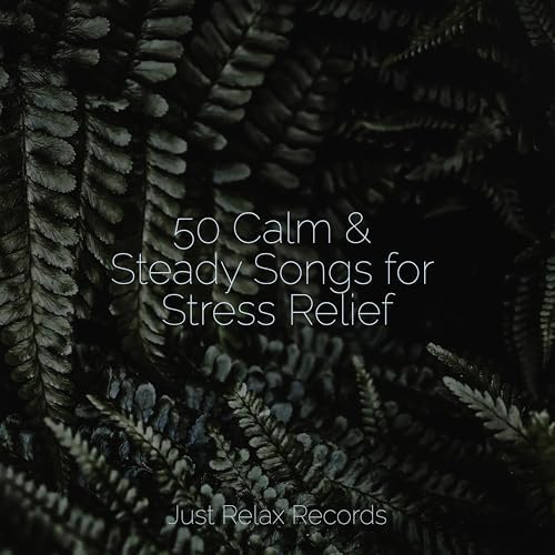 50 Calm & Steady Songs for Stress Relief de Chinese Relaxation and