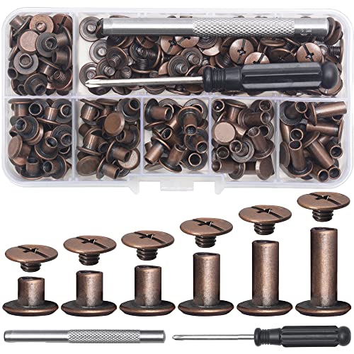Yoranyo 110Sets Chicago Screws Leather Rivets Assorted Screw Rivets M5 Chicago Binding Screws For Decorate And Repair Leather Craft Belt Bag Shoes Purse Bookbinding (Antique Copper, M5*4,5,6,8,10,12) #TOP7