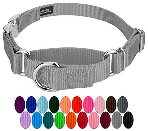 Country Brook Petz - Heavyduty Nylon Martingale with Premium Buckle - Silver - Small