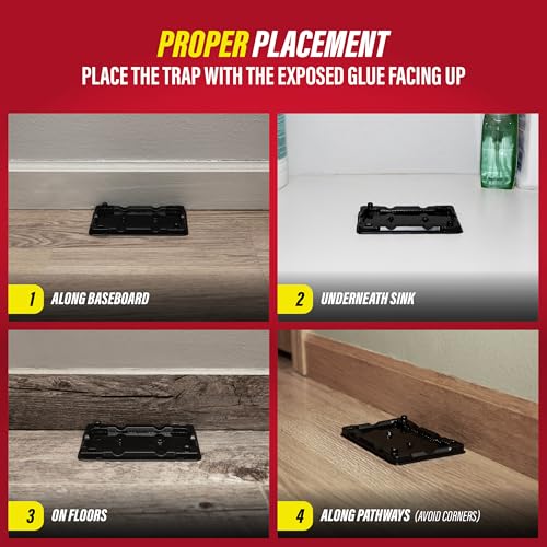 Image of Catchmaster-16 Mouse & Insect Glue Traps, Heavy-Duty Pesticide-Free Sticky Mouse Traps Indoor for Home, Used by the PROs, Adhesive Rodent & Bug Catcher, Pest Control for House & Garage (Pack of 2)