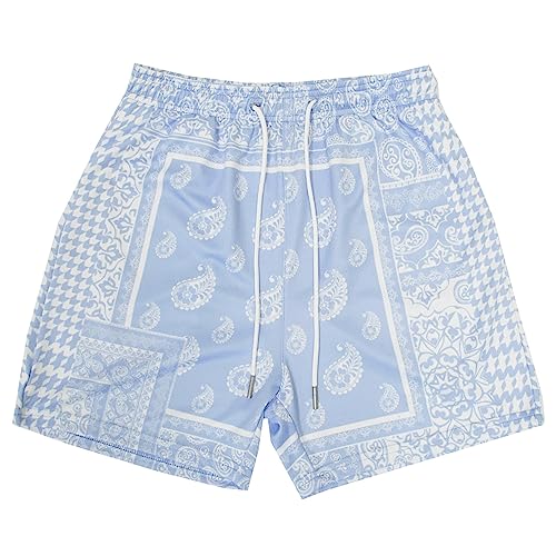 BOOMLEMON Men's Retro Paisley Shorts Mesh Print Casual Beach Shorts Athletic Gym Workout Running Short Pants
