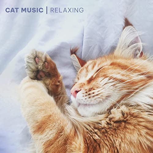 Cat Music Relaxing Songs for Cats and Kittens by Cat Music, Cat Music Experience & Music For