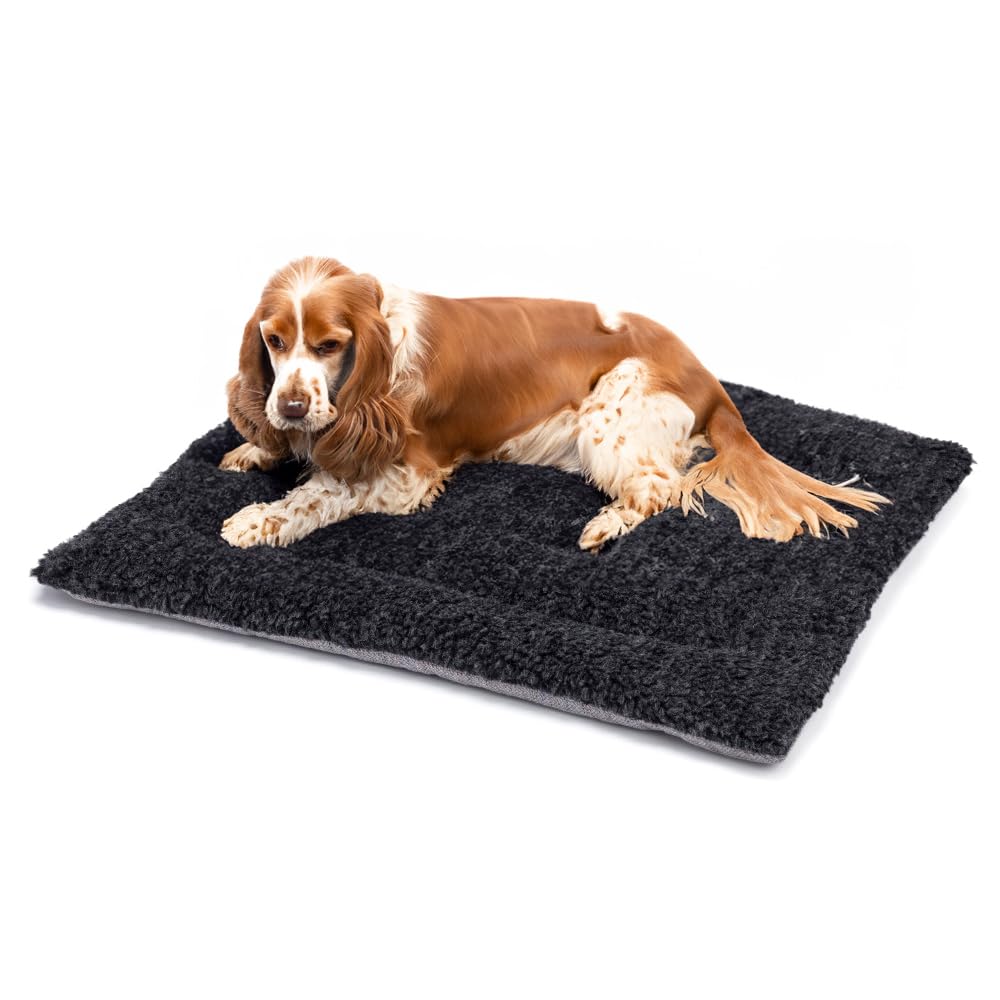 British Wool Dog Bed for Dogs - Machine Washable Quilted Cage Pad with Tweed Base, Luxurious Small Dog Bed (76x50cm) - Made in England