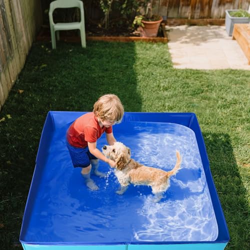 Hundepool Katzenpool Mit 6 Fischen Spielzeug, 50x50x10cm Hundebadewanne Faltbare Mini Hunde Pool Aus PVC, Planschbecken Hund, Schwimmbecken Für Kleine Hunde Katzen Haustiere (Blau)