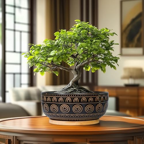 Eightpot Bonsai-Blumentöpfe aus Keramik, 20,3 cm, rund, für Sukkulenten und Zimmerpflanzen, niedriger Topf mit Drainageloch und Tablett… – Ansicht 2