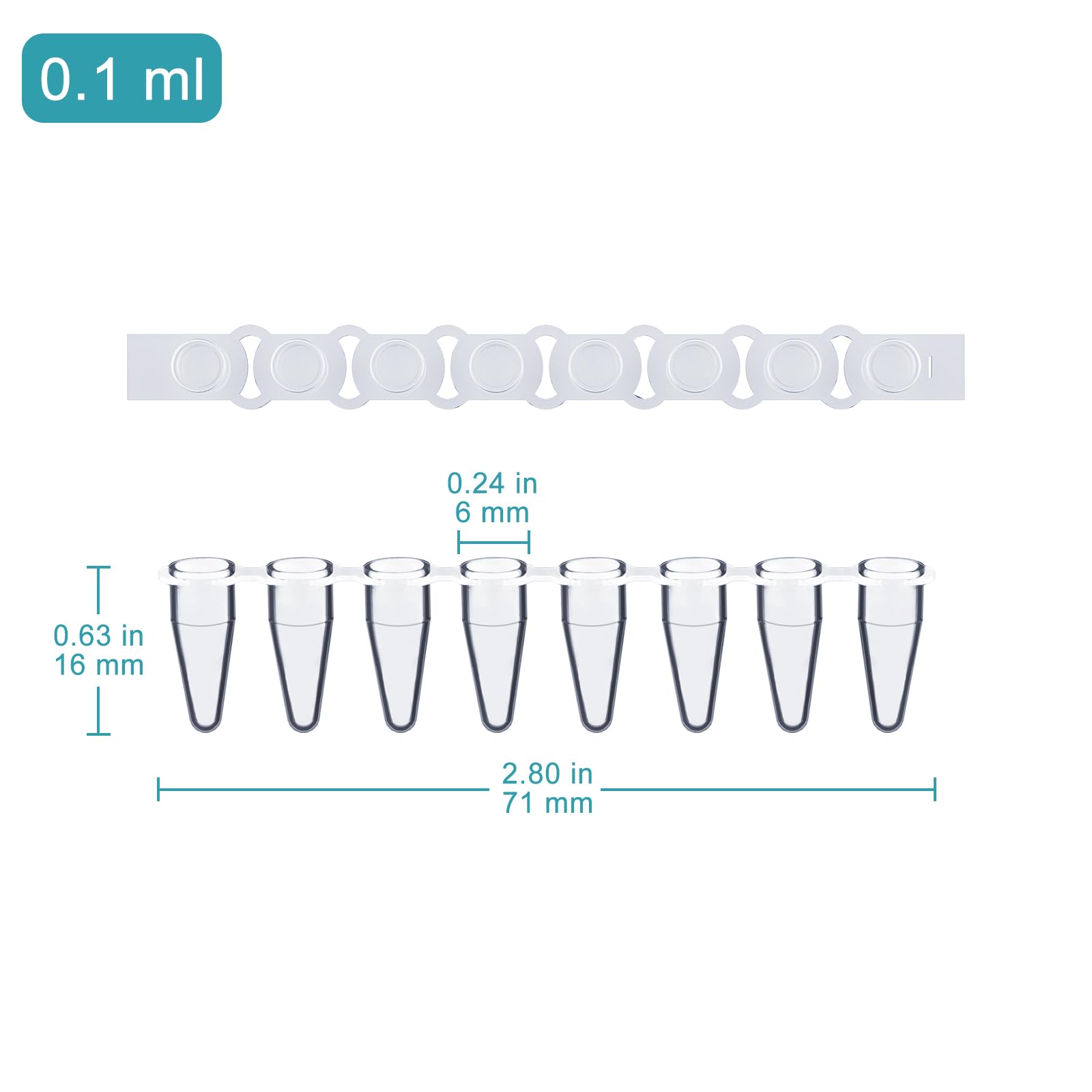 stonylab 8 Tubes PCR à Bandes, Paroi Fine avec Capsules Plates, Lot de 200, Transparent Cristal, pour qPCR et Cy clage Thermique, 0,1 ml