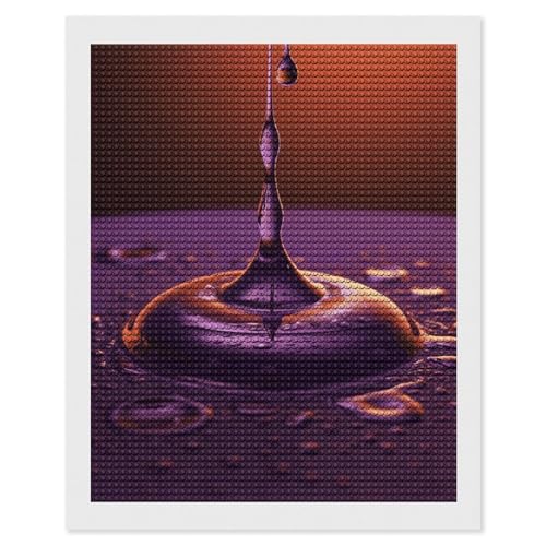 Peinture diamant 5D débutants anti stress toile 40.6 x 50.8 cm