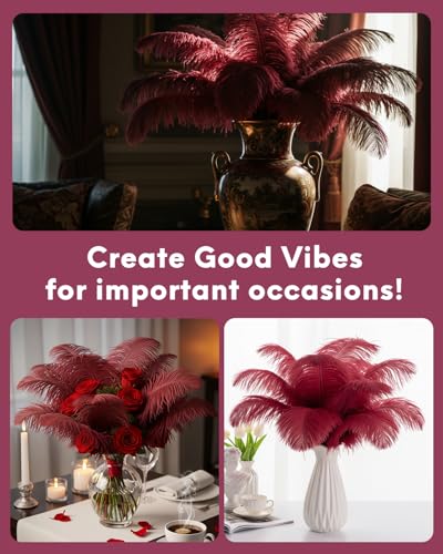 image for NEWONG 30pcs Wine red Ostrich Feathers Natural Bulk 11-14inch(28-35cm)
