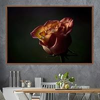Framed Canvas Wall Art Rose Bohemian Dark Dramatic Floral Multicolor Petal Photography Portrait - 16x24 inches