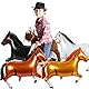 Ovanda 4 Stück Pferde Folienballon, Pferd Ballon Groß,Pferde Geburtstagsdeko, Aluminium Folie Pferdeballon, Cowboy Thematische Party Deko, Kinder Reiter Deko Reiterschule Reiterhof Motto Ballon