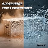 Truckbox Deichselkasten D210 inkl.Montagesatz Aluminium Deichselbox Trucky - 4