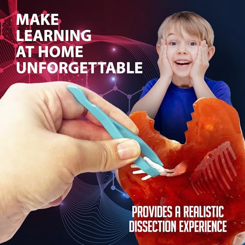 Image of Dissect-It Discover-It Dinosaur Dig Kit, Dissecting Gel Kids Science Kit Project to Learn Anatomy, STEM Toys for Ages 6 and Above
