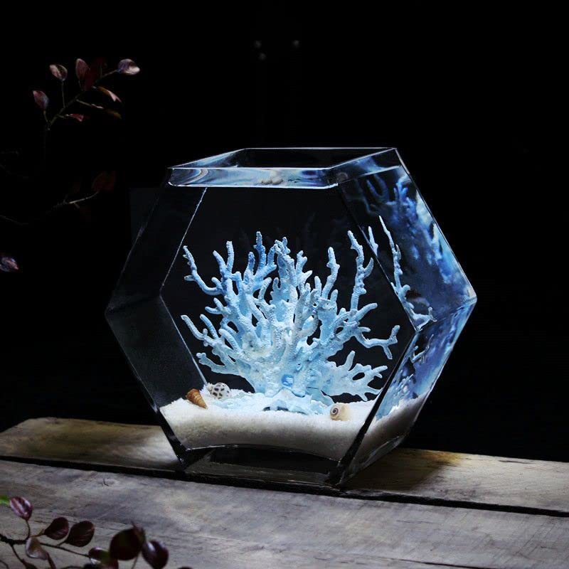 Amazon | 水槽 金魚鉢 花瓶 花器 ガラス 六角形のガラス水槽