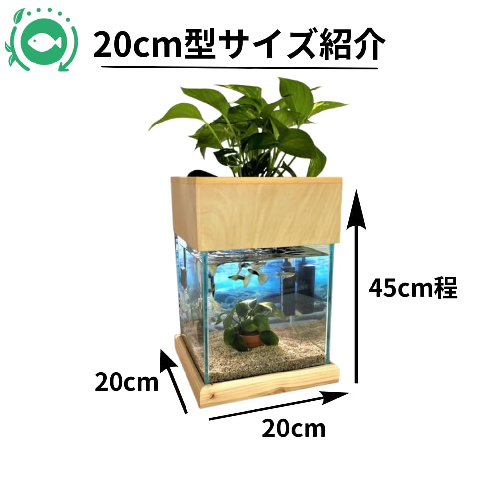 せせらぎビオトープ 水替え不要 [基本水槽セット] 【黒】 20cm 水槽用8L Amazon | せせらぎビオトープ 水替え不要【水槽セット】 20cm型