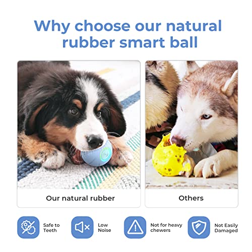 Cheerble [3 Interactive Modes] Intelligent Interactive Dog Toy Ball With Led Lights, Wicked Ball Se, Made Of Natural Rubber, Active Rolling Ball For Puppy/Small/Medium Dogs And Cats, Dc Rechargeable #TOP2