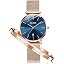 5869:rose Gold Strap&blue Dial