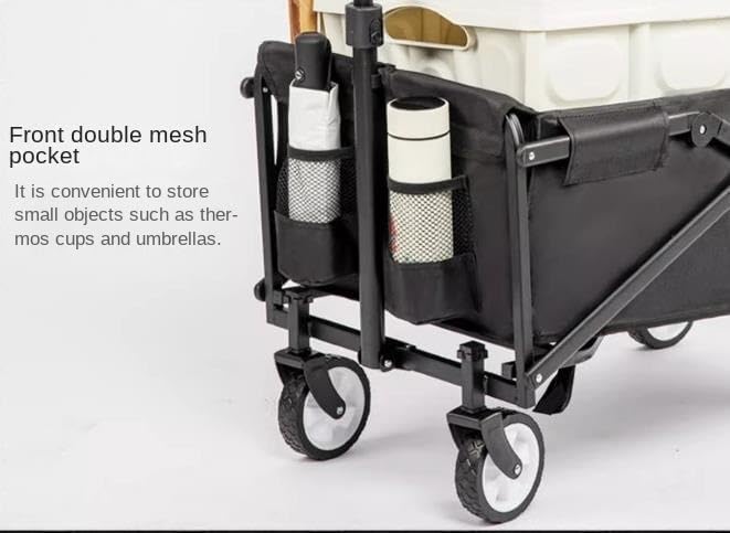 寒蘭-057 240-5H1 日光×力王 花芽つき 苗 交配種 寒蘭-057 240-5H1