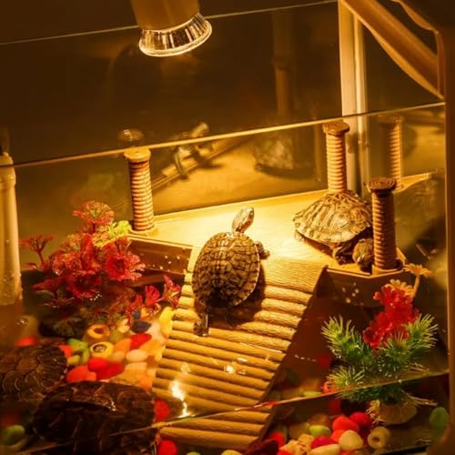 Image of Reptile Heat Lamp, UVA UVB Heat Lamp Bulbs, E26 Turtle Heat Lamp Bulbs 25W 4Pack, Basking Light for Bearded Dragon, Lizard, Snake and Frog