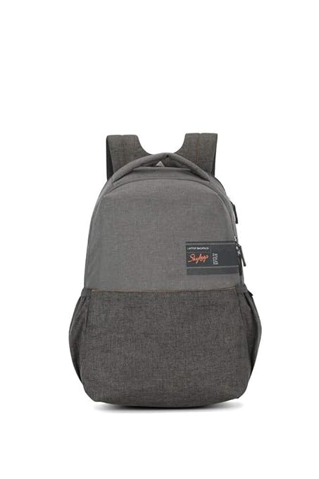 Skybags Beatle Pro 27 Ltrs Grey Laptop Backpack