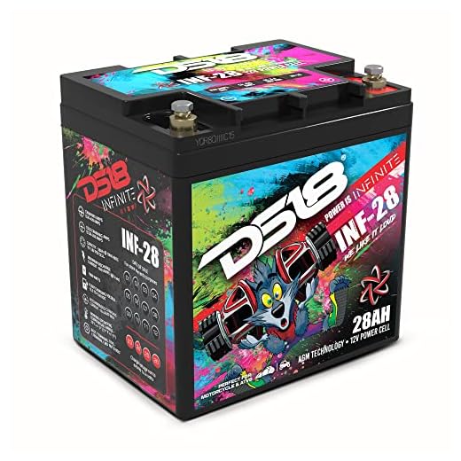 DS18 INF-28AH 1000 Watts AGM Power Cell 12 Volt Battery Maintenance Free - High Performance for Car Audio, Motorsports, Motorcycle, Jet Ski, ATV & UTV